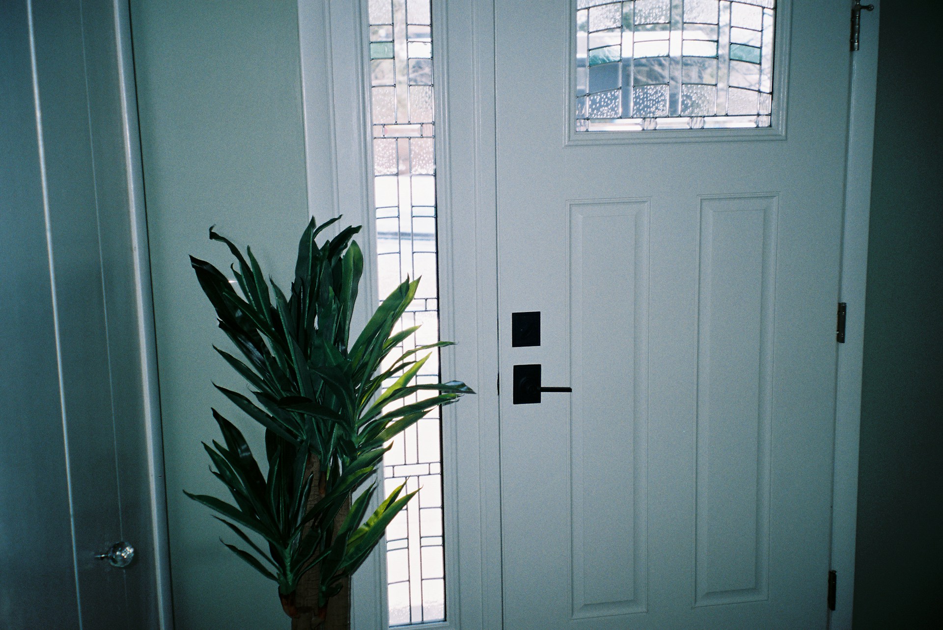 Fiberglass Doors