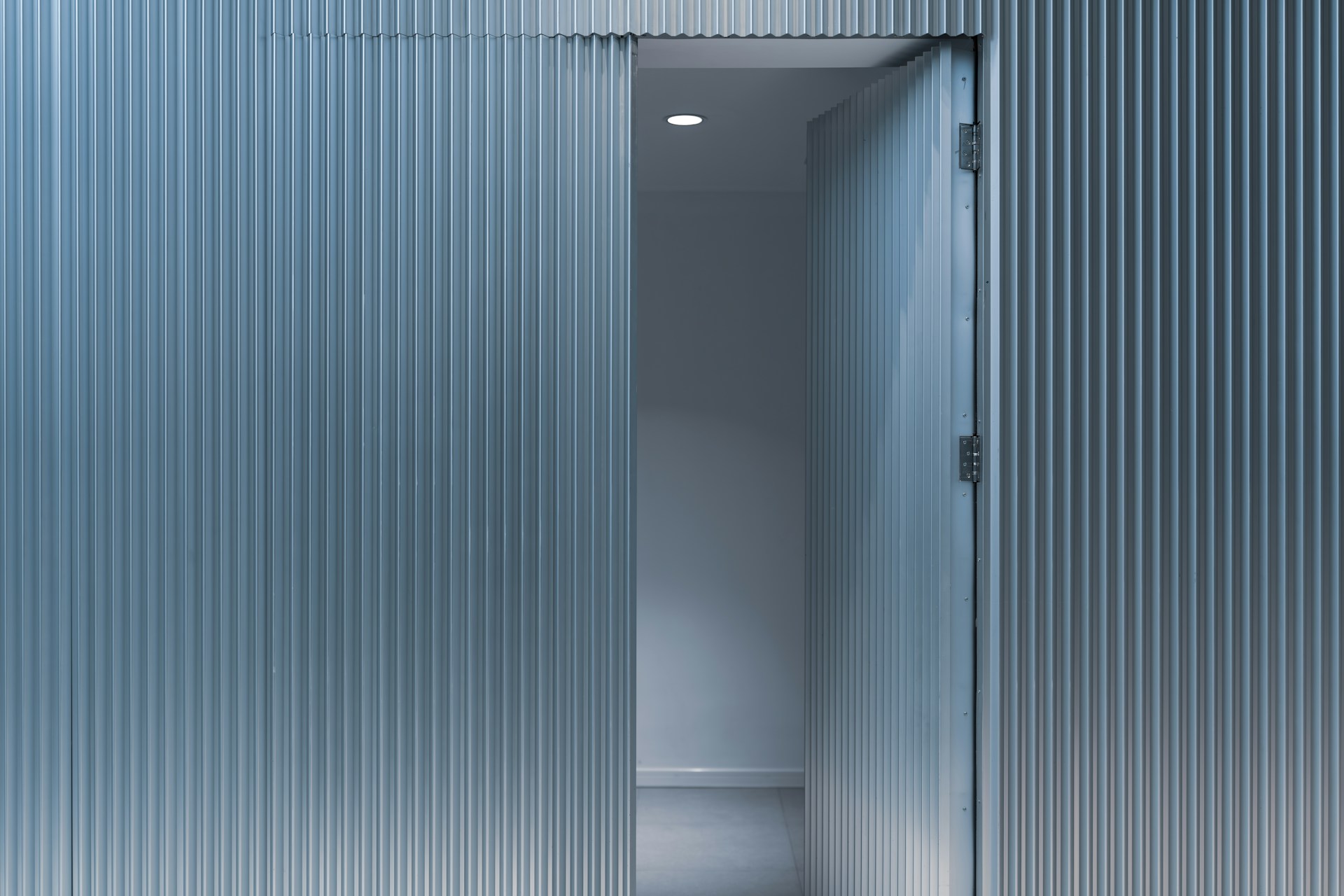Steel Doors