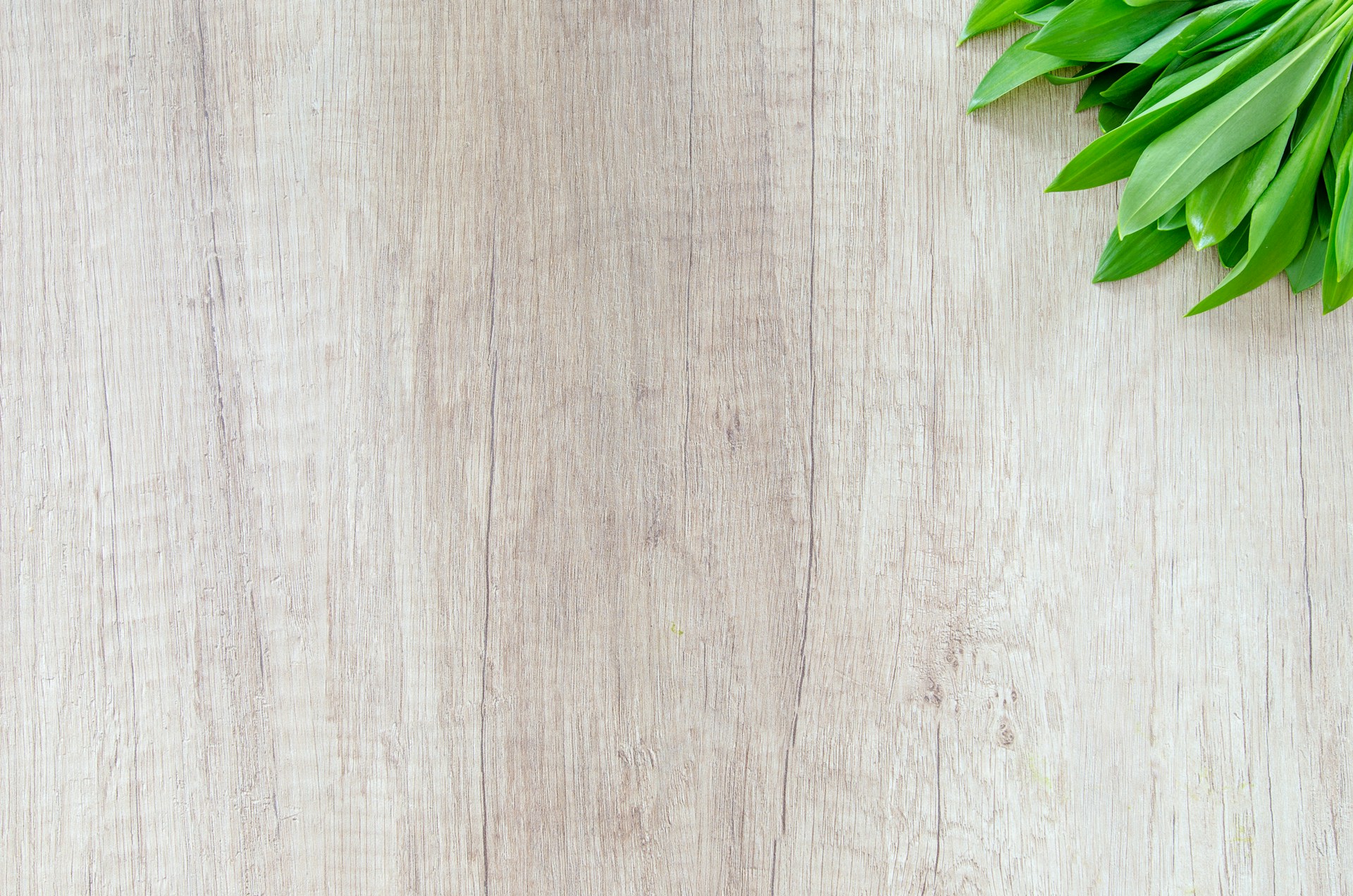 Wood Doors