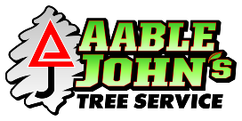 Aable john logo