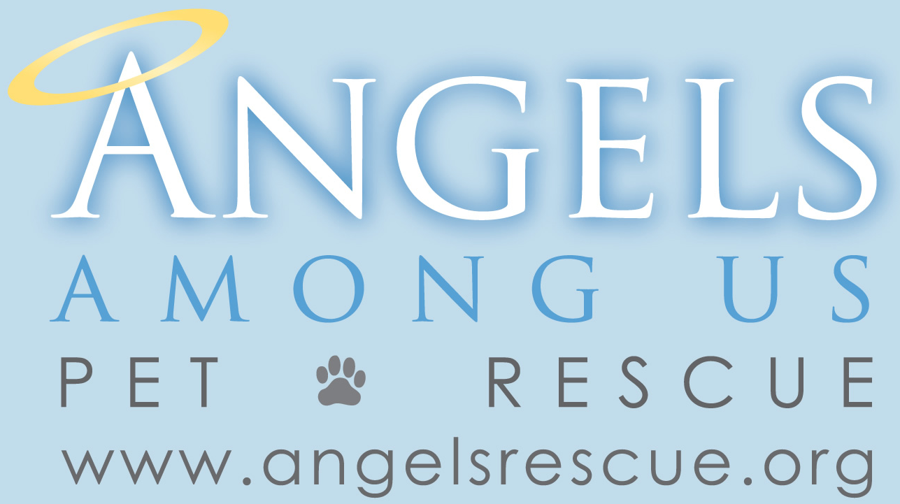 angels rescue logo blue sm